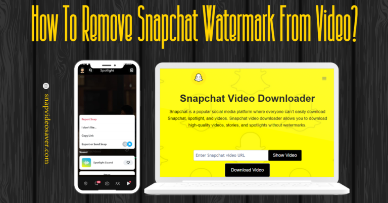 How To Remove Snapchat Watermark From Video?